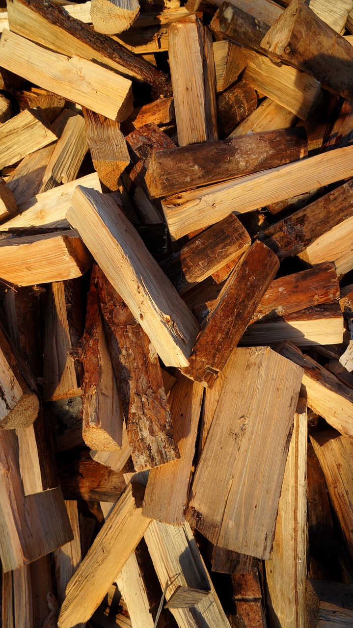 découvrez le monde de la bioénergie, une source d'énergie renouvelable qui utilise des matières organiques pour produire de l'électricité et de la chaleur. explorez ses applications, ses avantages environnementaux et son rôle dans la transition énergétique.