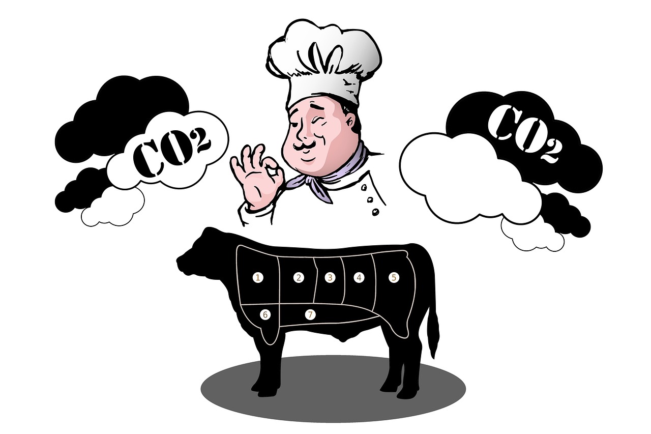 découvrez des stratégies efficaces et des conseils pratiques pour réduire votre empreinte carbone et contribuer à un avenir plus durable.