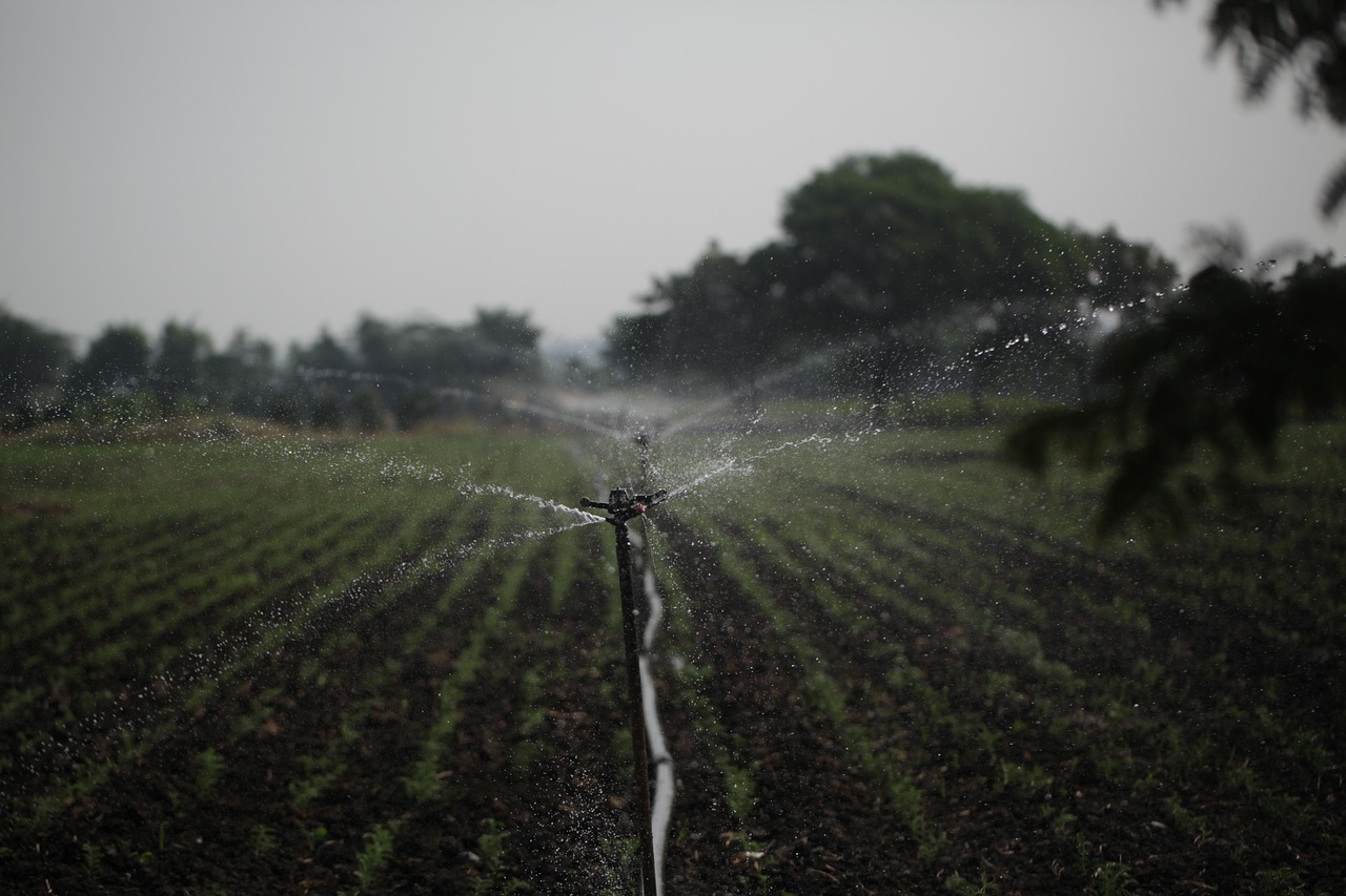 découvrez des astuces et solutions pour économiser l'eau dans votre salle de bain et adopter un mode de vie écologique.