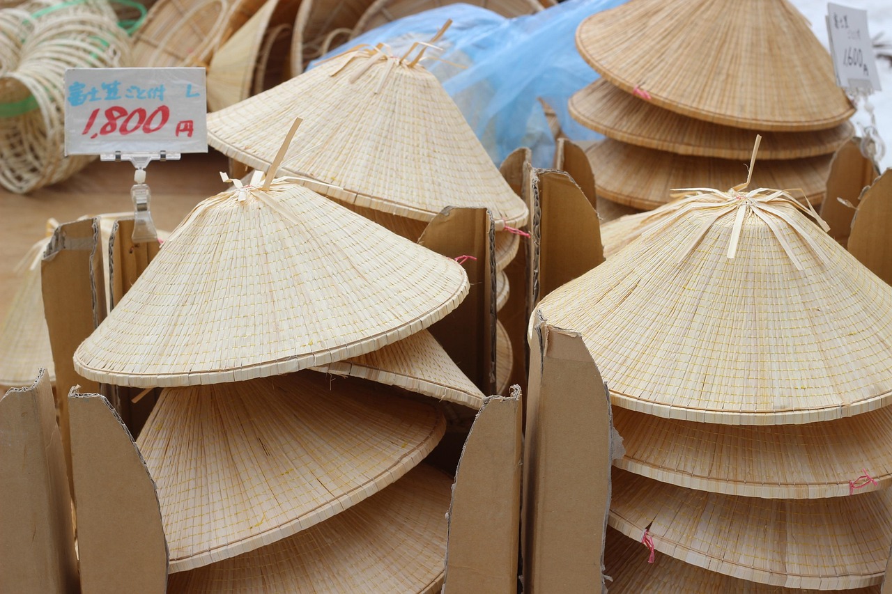 découvrez des stratégies efficaces de mitigation pour atténuer les impacts des changements environnementaux et des crises. apprenez comment protéger notre planète tout en favorisant un développement durable.