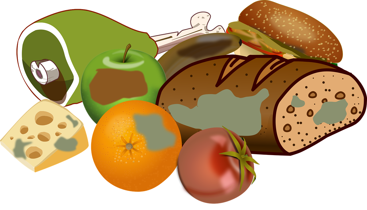 découvrez des conseils pratiques et des astuces pour réduire le gaspillage alimentaire, économiser de l'argent et protéger l'environnement.