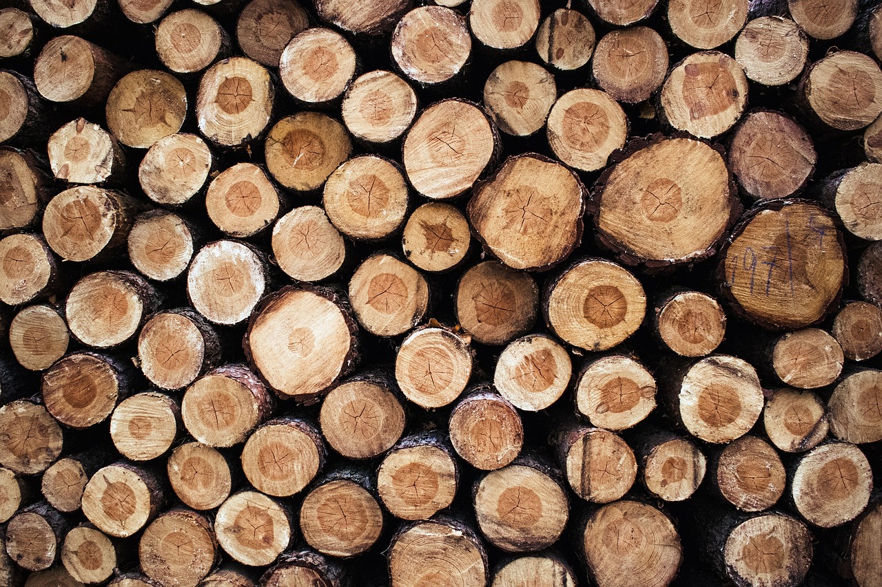 la déforestation représente une menace alarmante pour notre planète, entraînant la perte d'habitats naturels, la diminution de la biodiversité et des impacts climatiques majeurs. découvrez les causes, les conséquences et les solutions pour préserver nos forêts.