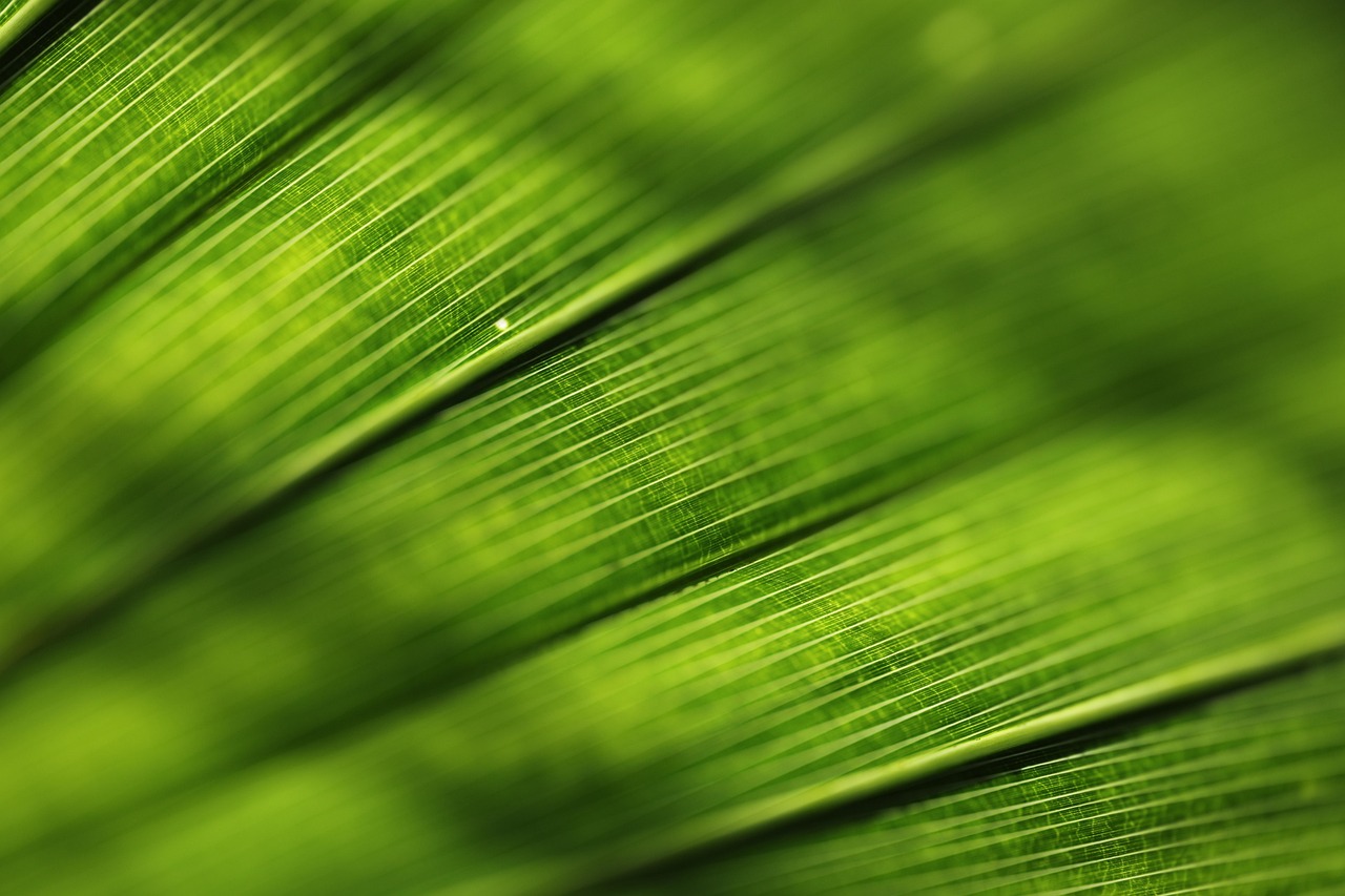 découvrez comment la taxation verte influence l'économie en incitant à des pratiques durables. apprenez les avantages et les enjeux de cette approche innovante pour protéger l'environnement tout en favorisant la croissance.