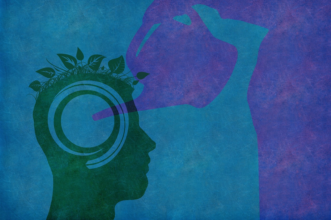 découvrez les principes du développement durable, une approche essentielle pour préserver notre planète tout en répondant aux besoins des générations présentes et futures. apprenez comment intégrer des pratiques durables dans votre quotidien et contribuer à un avenir plus responsable.