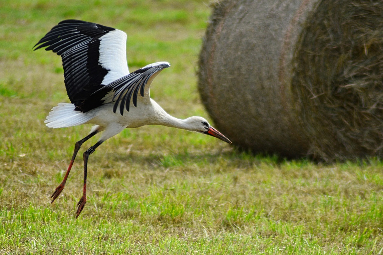 découvrez l'approche participative, une méthode collaborative qui engage les acteurs dans le processus décisionnel, favorisant l'inclusion, l'innovation et l'impact durable. cette approche permet de renforcer la cohésion sociale et d'améliorer l'efficacité des projets en donnant une voix à tous les participants.