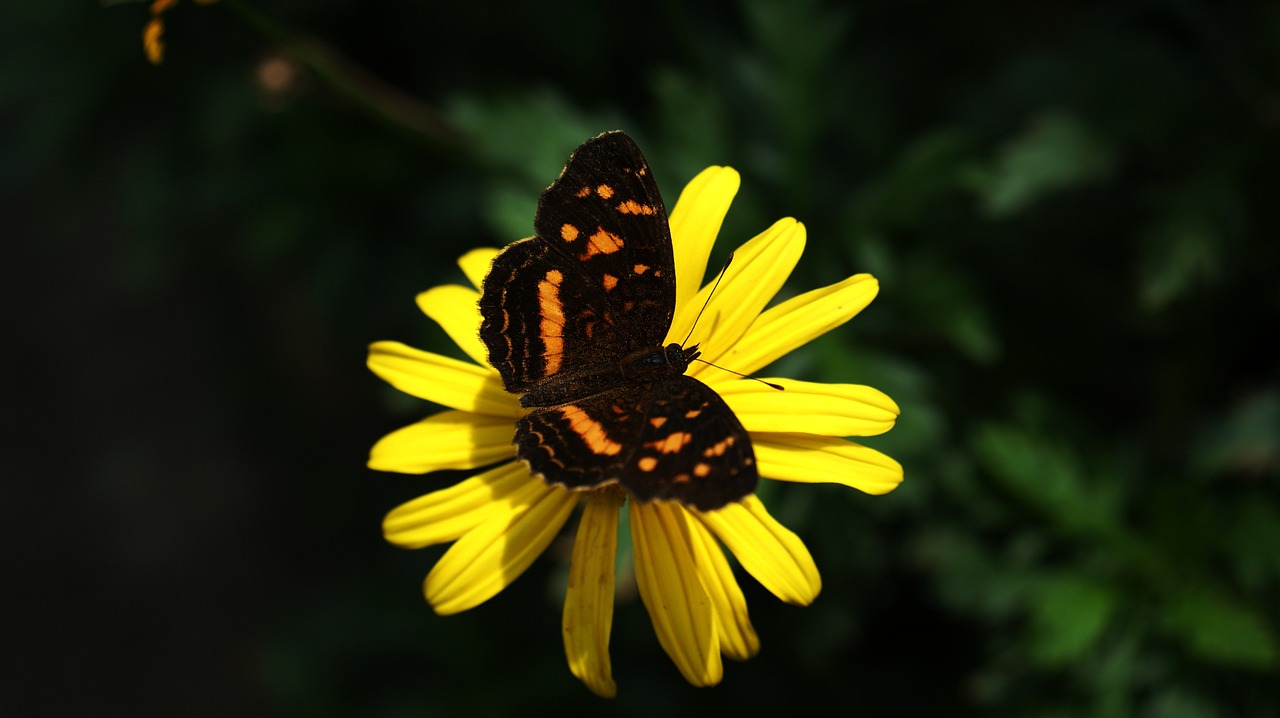 découvrez les secteurs verts, une exploration des industries durables qui favorisent la protection de l'environnement tout en stimulant l'économie. apprenez comment ces domaines contribuent à un avenir plus vert et responsable.