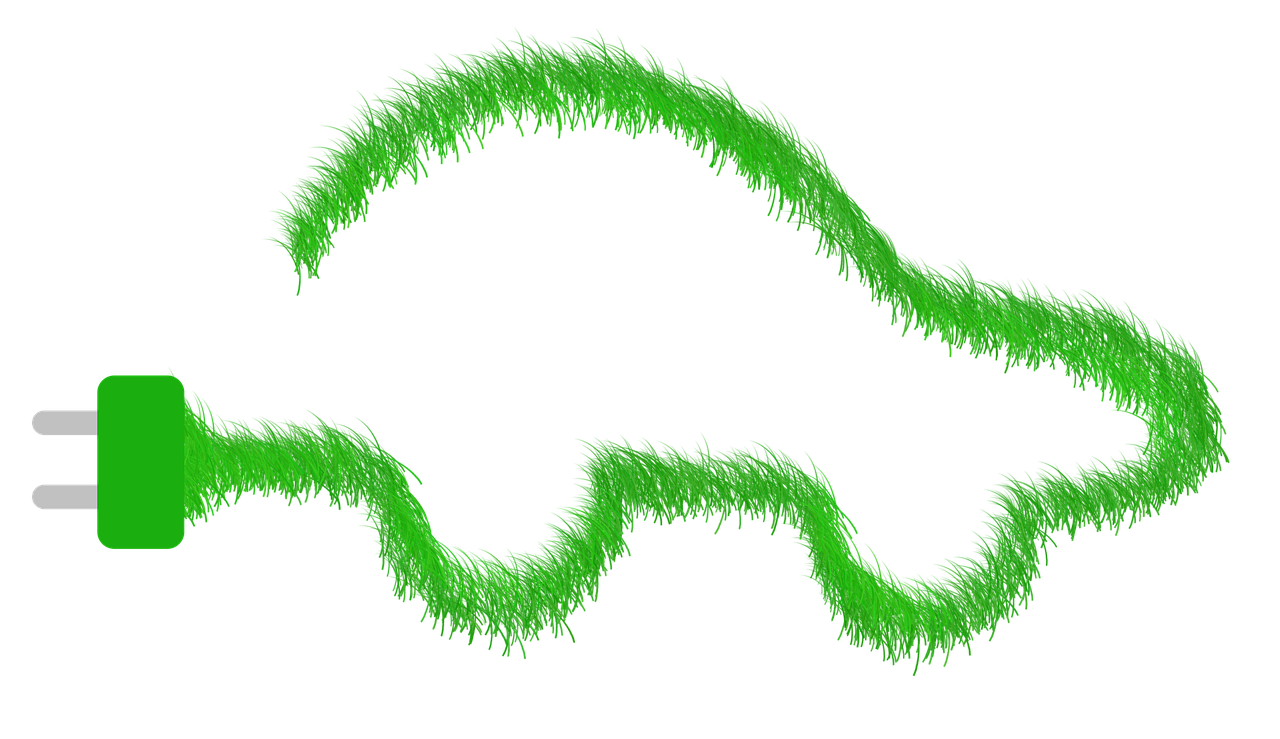 découvrez l'importance de la restauration écologique pour préserver notre environnement. apprenez comment cette pratique aide à restaurer les écosystèmes dégradés, favorise la biodiversité et contribue à la lutte contre le changement climatique. explorez des stratégies innovantes et des exemples inspirants de projets de restauration à travers le monde.