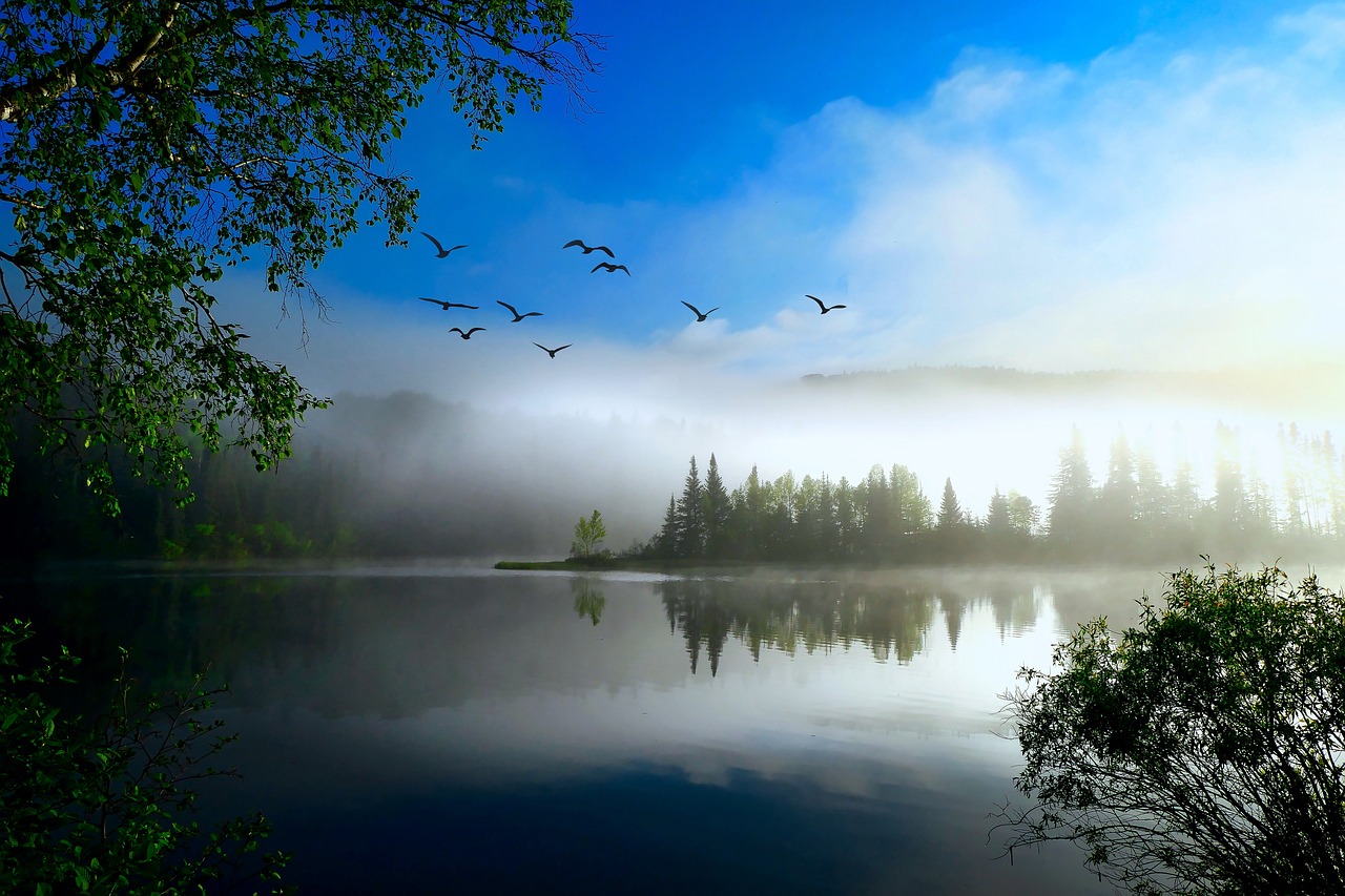 découvrez le concept d'écologie intégrée, une approche holistique qui combine les systèmes naturels et humains pour promouvoir la durabilité et la coexistence harmonieuse. explorez les stratégies innovantes pour préserver notre planète tout en améliorant la qualité de vie.