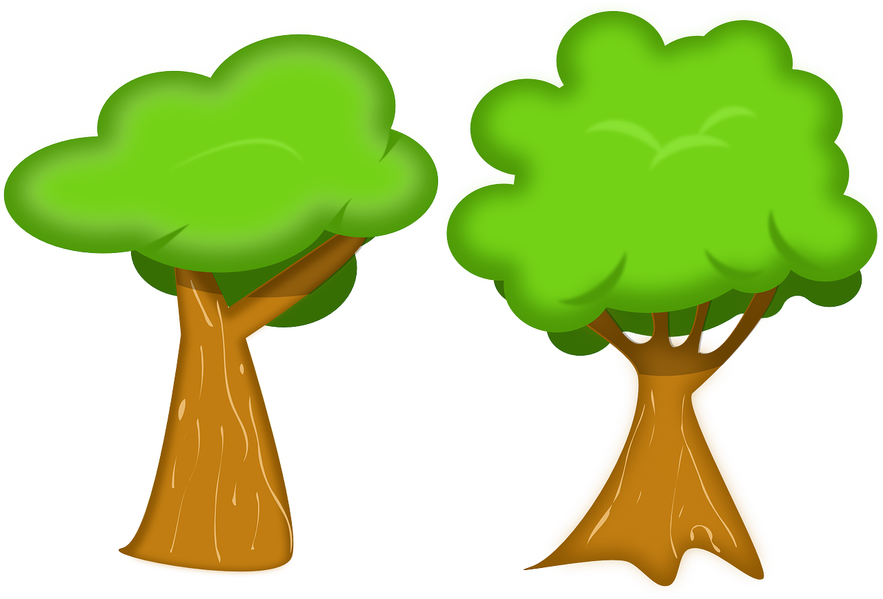 découvrez l'écologie, une science essentielle qui étudie les interactions entre les organismes et leur environnement. plongez dans des sujets variés tels que la biodiversité, la conservation et les défis environnementaux actuels. informez-vous sur les actions à prendre pour protéger notre planète.