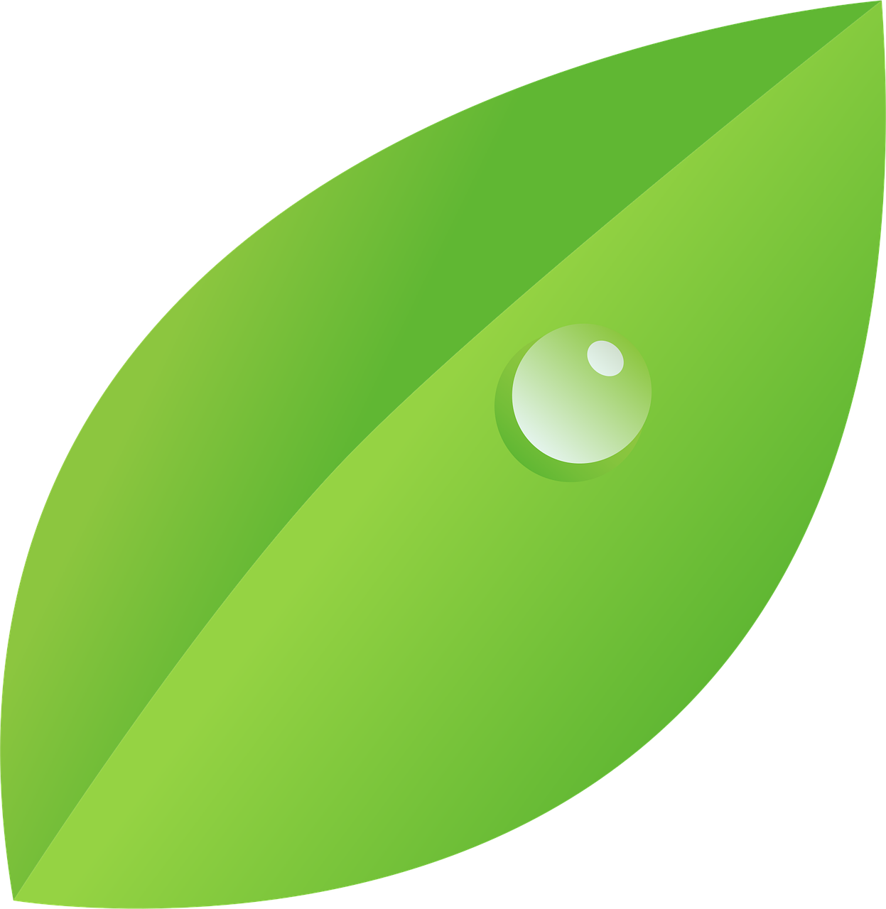 découvrez des méthodes de nettoyage écologiques et respectueuses de l'environnement pour un intérieur sain et durable.