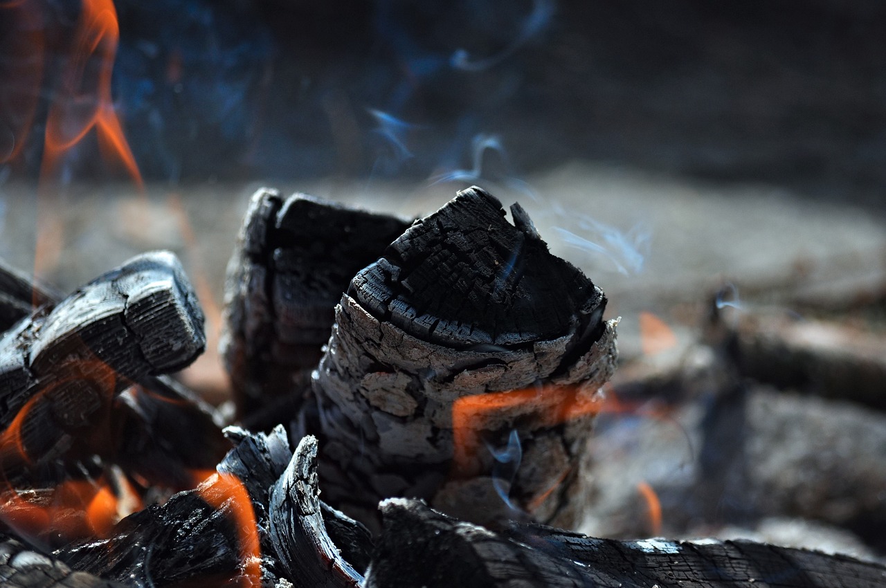 découvrez des stratégies efficaces pour la réduction du carbone et l'impact positif sur notre environnement. apprenez comment des actions individuelles et collectives peuvent contribuer à un avenir plus durable.