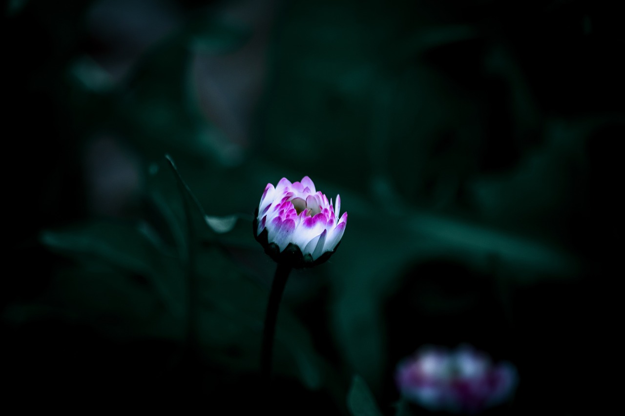 découvrez les principes du développement durable, une approche qui vise à concilier croissance économique, équité sociale et protection de l'environnement pour un avenir meilleur et responsable.