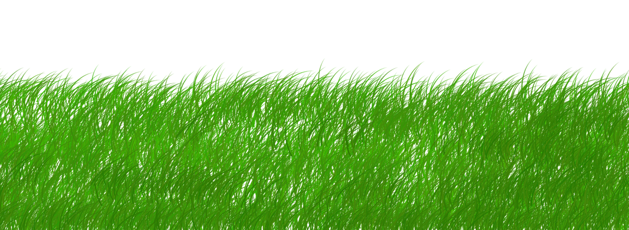 découvrez nos initiatives durables qui visent à préserver l'environnement tout en favorisant un développement responsable. rejoignez-nous dans notre engagement pour un avenir plus vert et éthique.