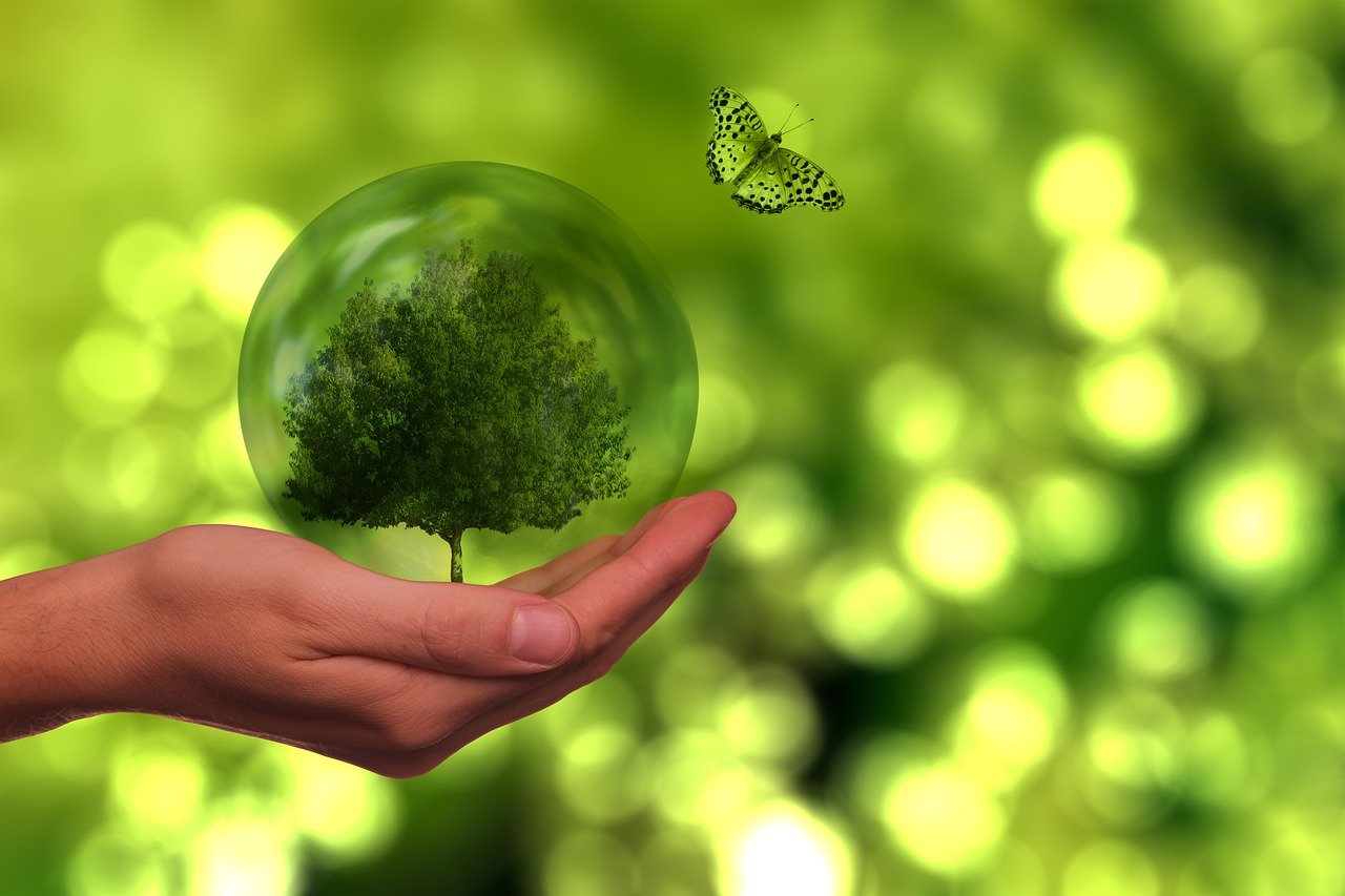 Recherche et innovation en écologie : vers un avenir durable