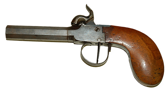 Rovodi et Zostaz : le duel des plateformes de streaming à suivre cette année