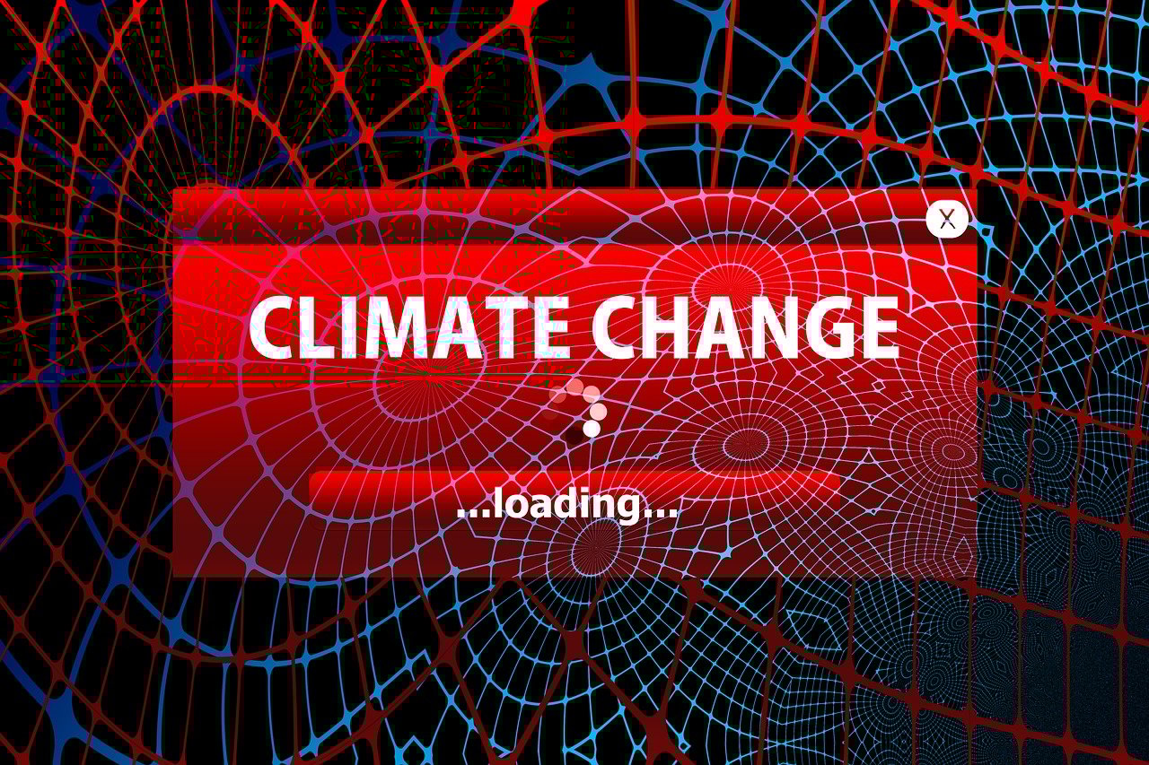 Proécologie : comprendre les enjeux de la durabilité environnementale