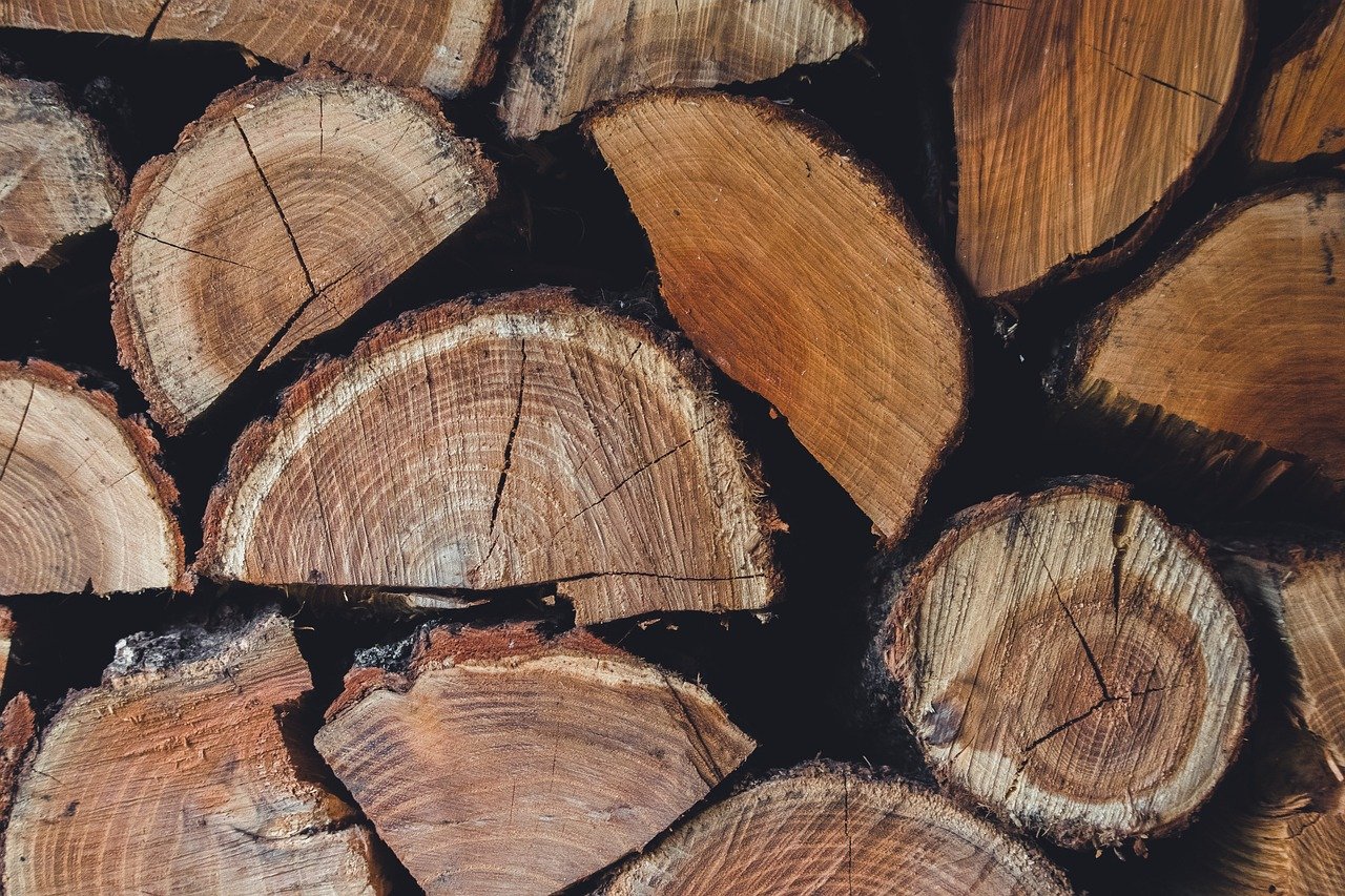 Circularité : comprendre l’importance d’un modèle économique durable