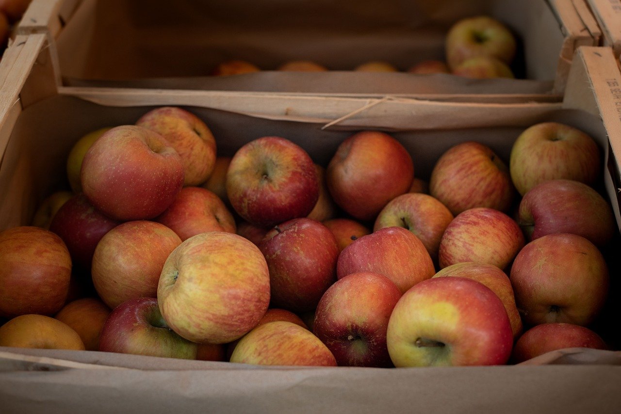 Alimentation durable : comment adopter des pratiques écoresponsables au quotidien