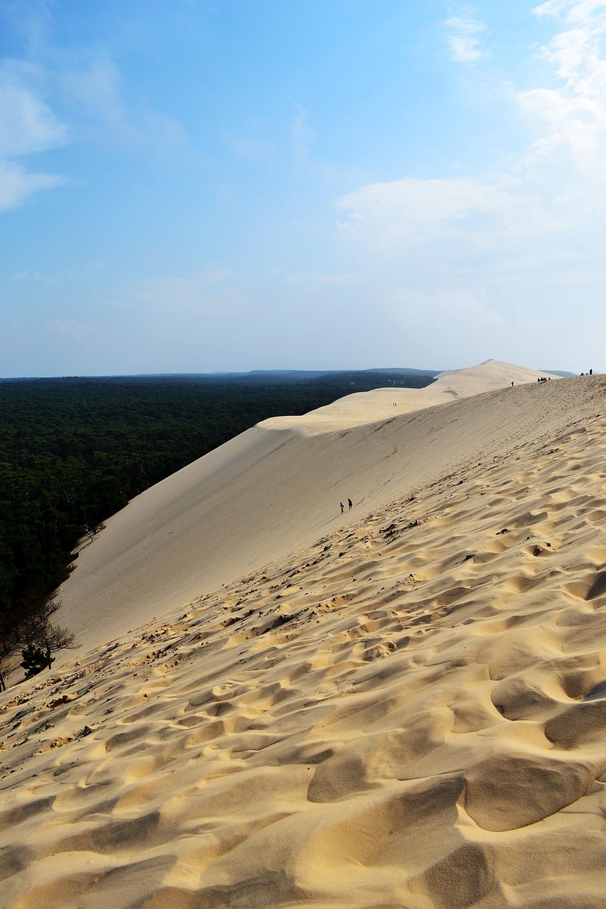 découvrez l'aquitaine, région riche en patrimoine, paysages naturels et gastronomie. explorez ses plages, ses vignobles et ses sites historiques, tout en profitant d'activités variées au cœur de la nature.