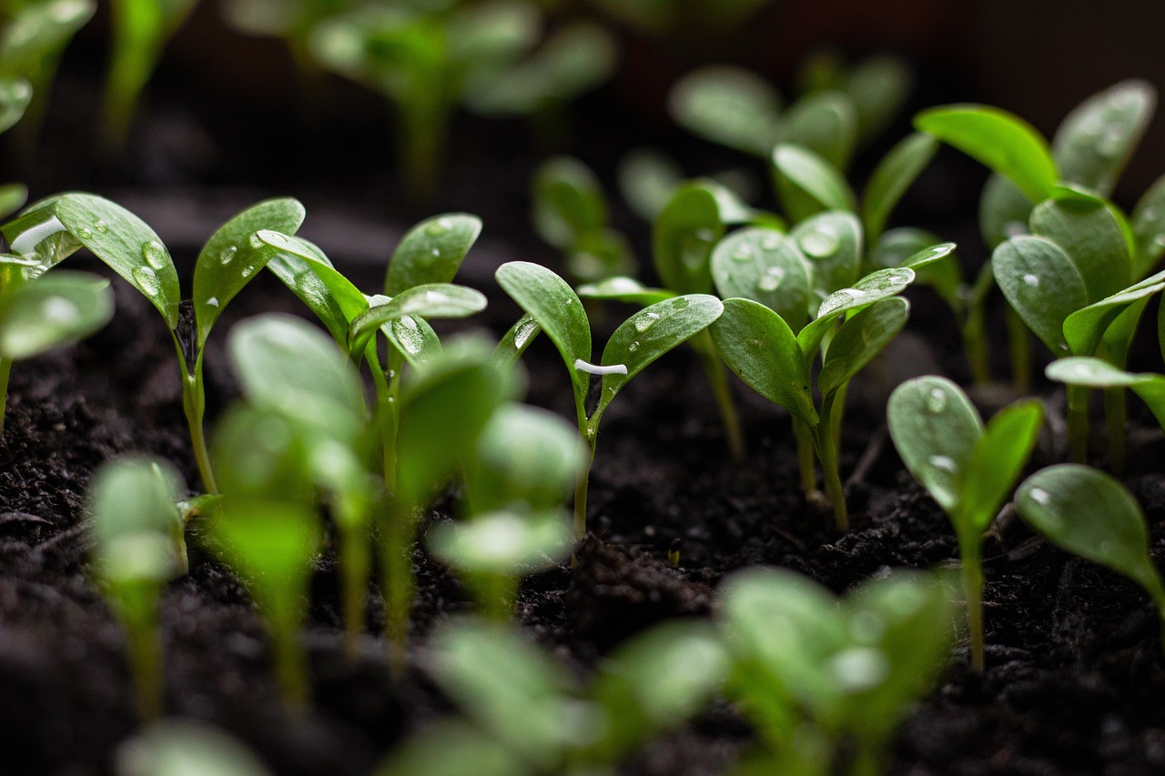 découvrez un habitat durable qui allie confort et respect de l'environnement. apprenez comment construire et vivre de manière responsable tout en préservant notre planète pour les générations futures.