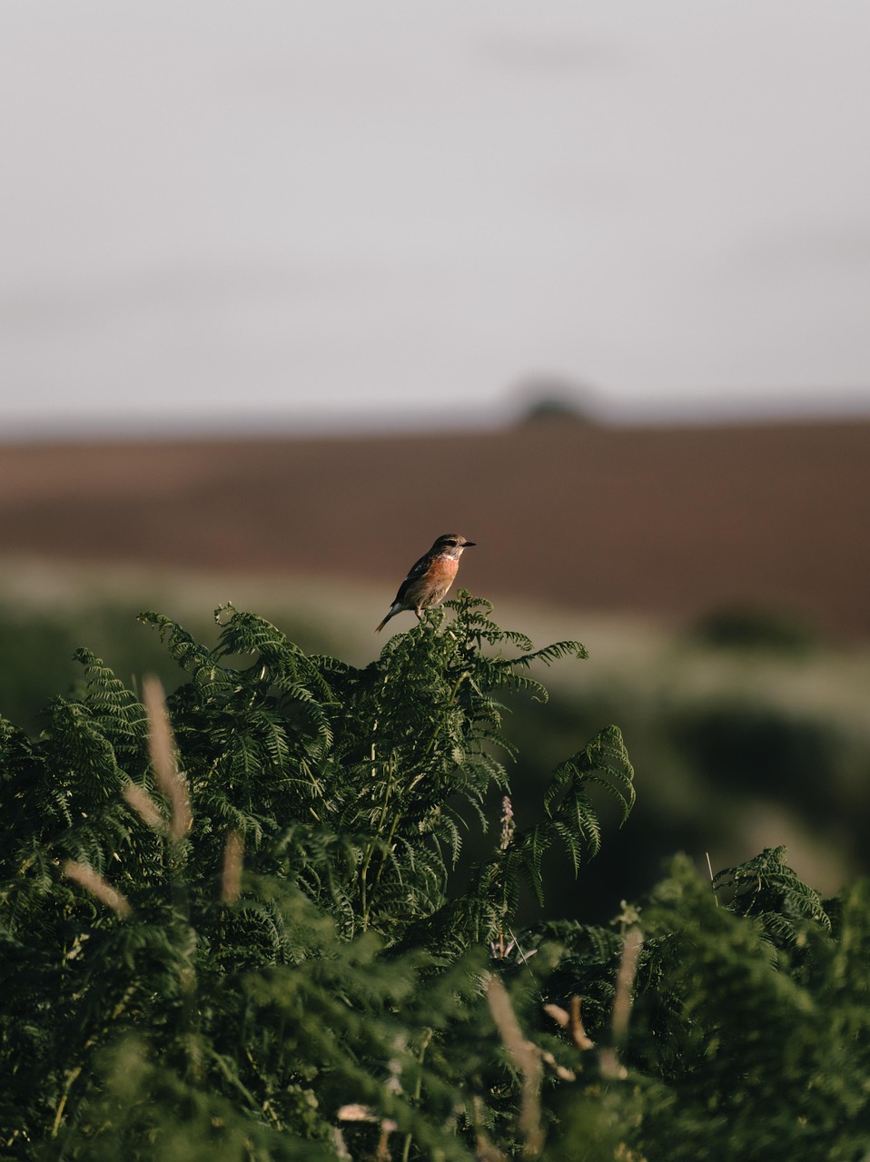 Habitat durable : les clés pour un avenir écologique