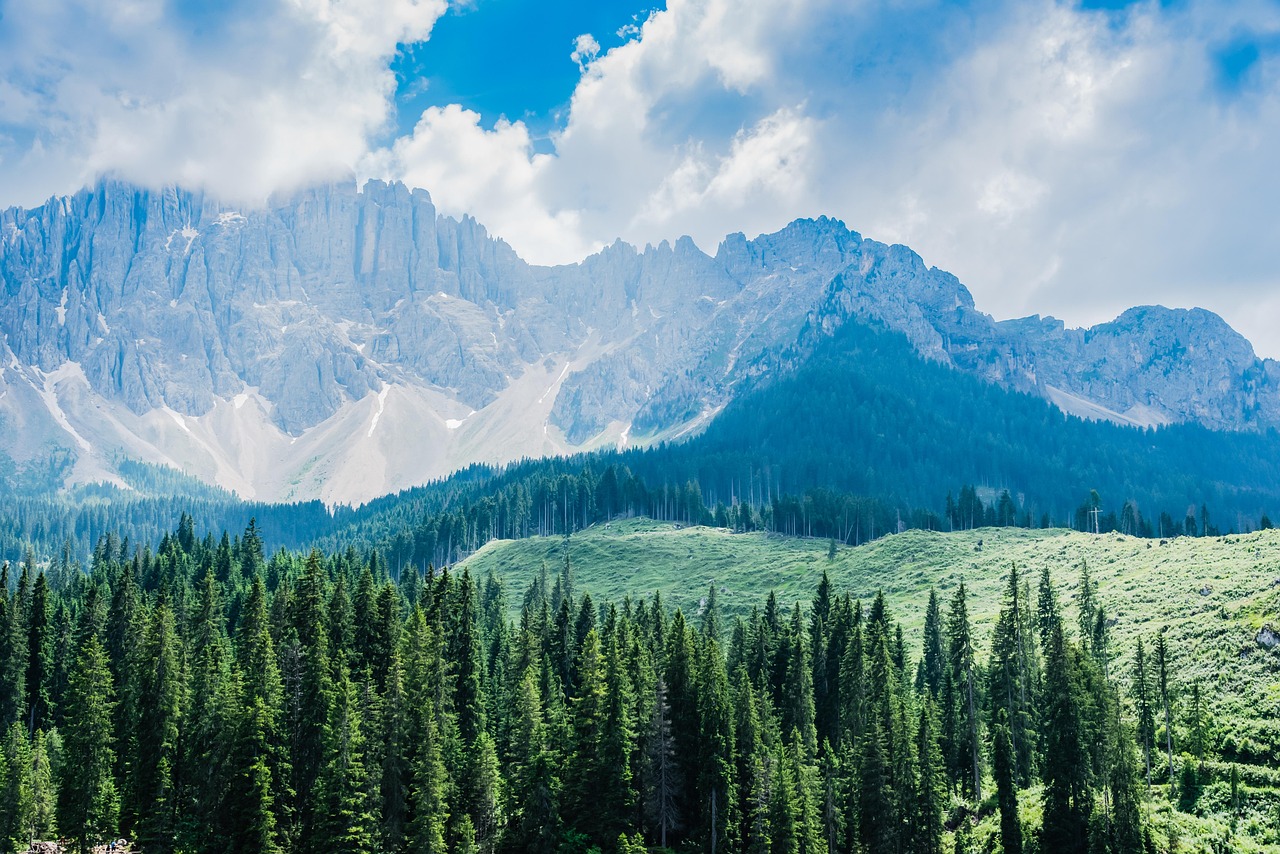 découvrez l'écotourisme, une manière responsable et durable de voyager tout en préservant l'environnement. explorez des destinations uniques, engagez-vous auprès des communautés locales et profitez d'expériences authentiques qui respectent la nature.