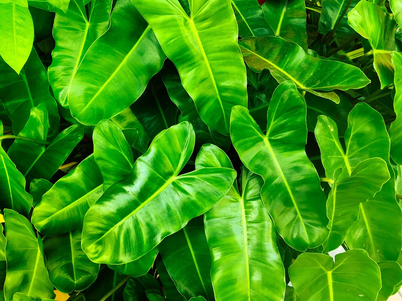découvrez notre cabinet de conseil en environnement qui vous accompagne dans la mise en œuvre de pratiques durables et respectueuses de l'écologie. notre expertise vous aide à réduire votre impact environnemental tout en optimisant vos performances économiques.