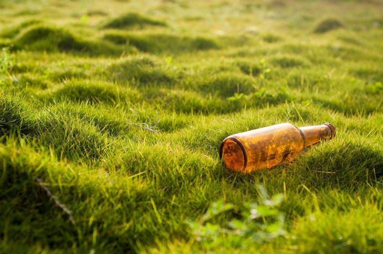 La protection des paysages : enjeux et solutions pour un avenir durable