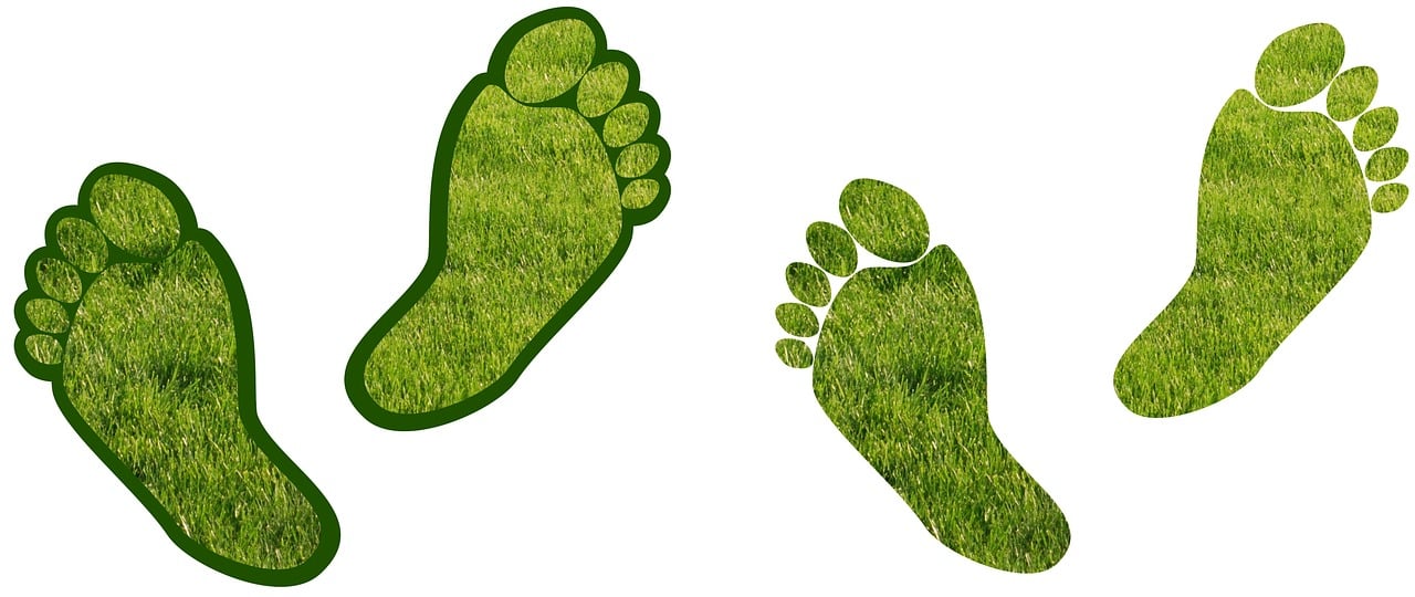 découvrez comment réduire votre empreinte carbone et contribuer à la lutte contre le changement climatique. explorez des conseils pratiques, des stratégies durables et des informations essentielles pour minimiser votre impact environnemental au quotidien.