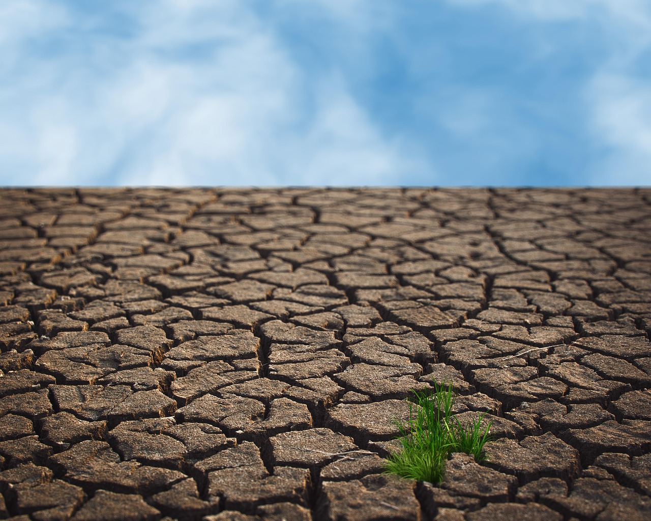 découvrez les enjeux du changement climatique, ses impacts sur la planète et les actions à entreprendre pour préserver notre environnement. engagez-vous et informez-vous sur les solutions durables pour lutter contre cette crise mondiale.
