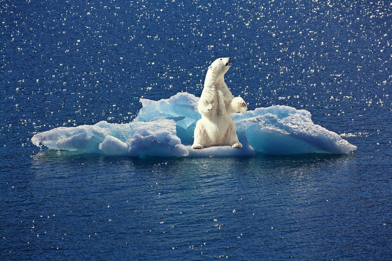 découvrez les enjeux du changement climatique, ses impacts sur notre planète et les solutions pour un avenir durable. rejoignez la lutte pour un environnement sain et préservé pour les générations futures.