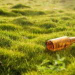 Sensibilisation environnementale : pourquoi est-elle essentielle pour notre avenir ?