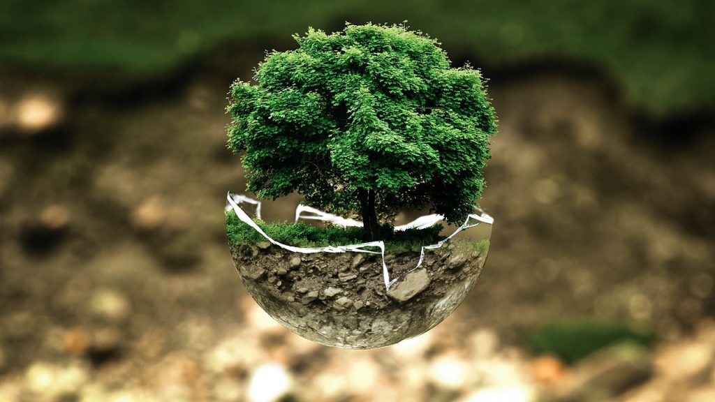 Protection de l’environnement : 5 gestes simples pour un impact positif