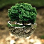 Protection de l’environnement : 5 gestes simples pour un impact positif