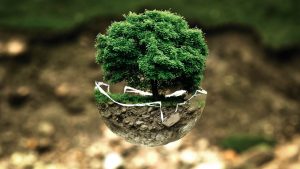 Protection de l’environnement : 5 gestes simples pour un impact positif