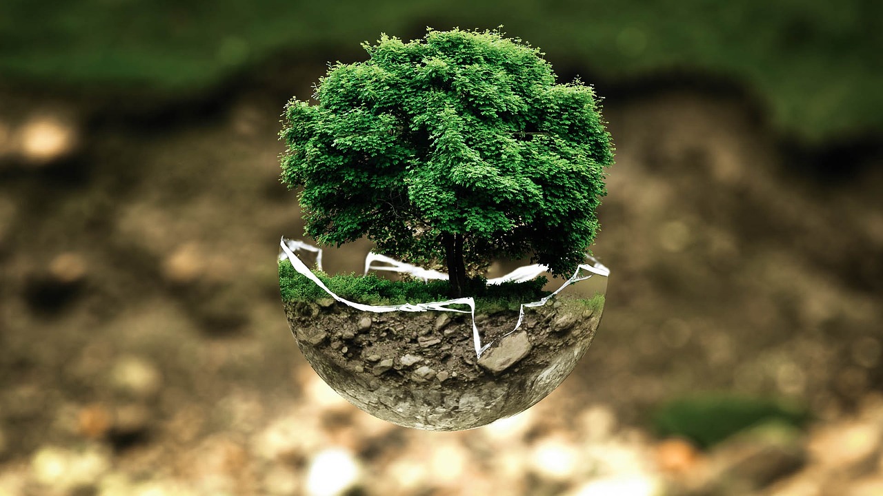 Protection de l’environnement : 5 gestes simples pour un impact positif