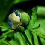Sensibilisation au développement durable : comprendre les enjeux pour un avenir responsable