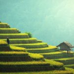 L’agriculture durable : des pratiques essentielles pour un avenir écologique