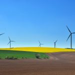 Consommation responsable : adopter des habitudes durables au quotidien