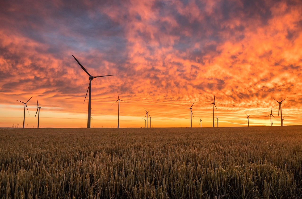 découvrez l'énergie éolienne, une source renouvelable durable qui transforme la force du vent en électricité. apprenez-en plus sur ses avantages, son fonctionnement et son rôle essentiel dans la transition énergétique vers un avenir plus écologique.