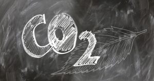 Carbone neutre : comment atteindre cet objectif pour un avenir durable