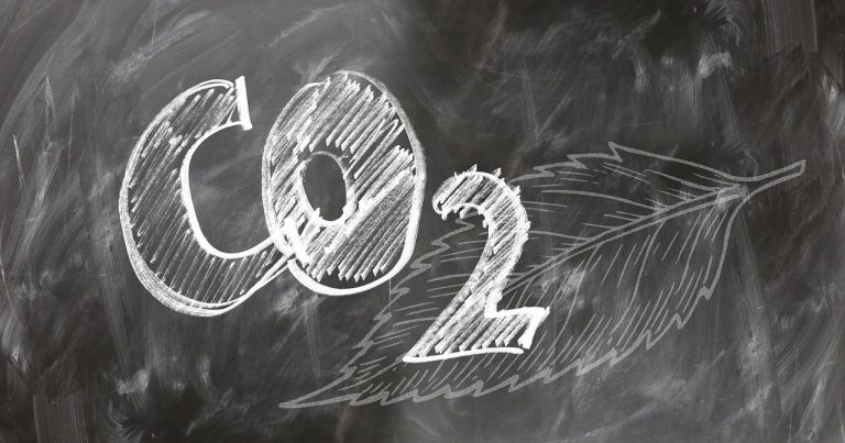 Carbone neutre : comment atteindre cet objectif pour un avenir durable