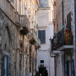 Adaptation au climat : stratégies pour un avenir durable