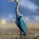Alliances pour le climat : stratégies pour un avenir durable