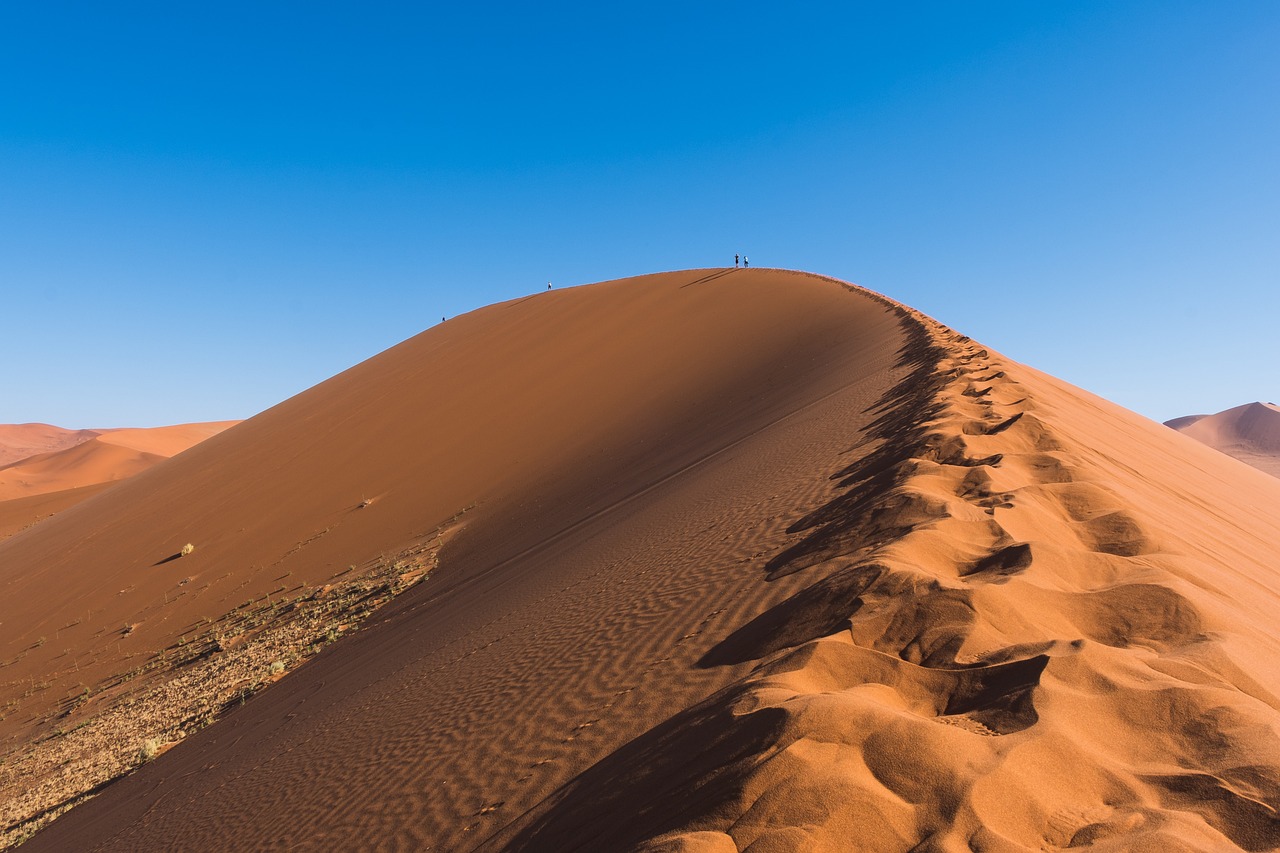 découvrez la sensibilité climatique, un concept crucial qui mesure la réaction de la température terrestre aux variations des concentrations de gaz à effet de serre. explorez son impact sur le changement climatique et les prévisions futures.