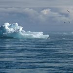 Stratégie climatique : comment élaborer un plan d’action efficace pour un avenir durable