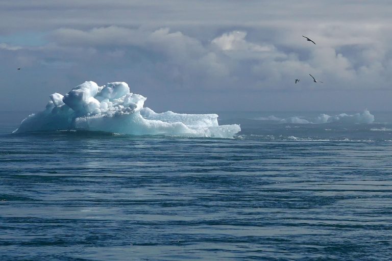 Stratégie climatique : comment élaborer un plan d’action efficace pour un avenir durable