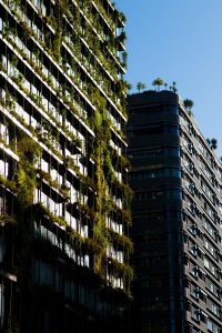 Éco-conception : comment repenser vos produits pour un avenir durable