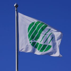 Écolabel : comprendre son importance pour un choix de consommation durable