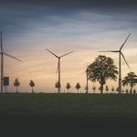 Contrats environnementaux : comprendre leur impact sur la durabilité